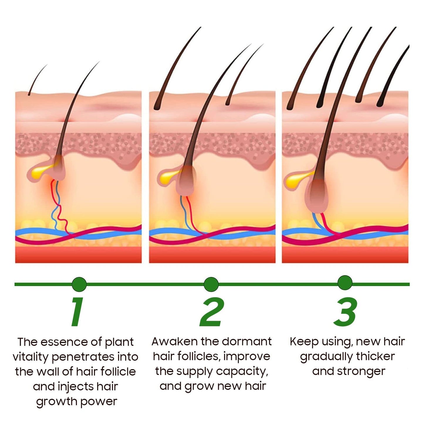 🌿 Rosemary Herbal Hair Growth Oil | FLAT 45% 🔥