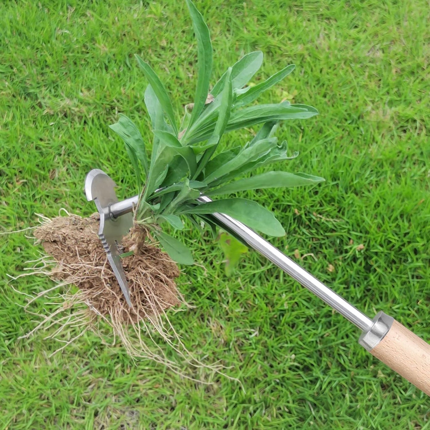 🌱✨Root Ripper™ - Garden Weeding Tool 🪓 - (1 Pc) | FLAT 45% Off 🔥