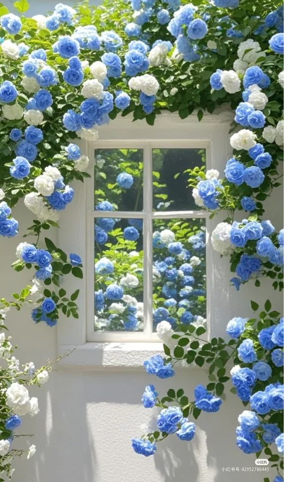 🌸🌱 Forever Bloom™ Blue Roses Seeds 💙 | FLAT 45% Off 🔥