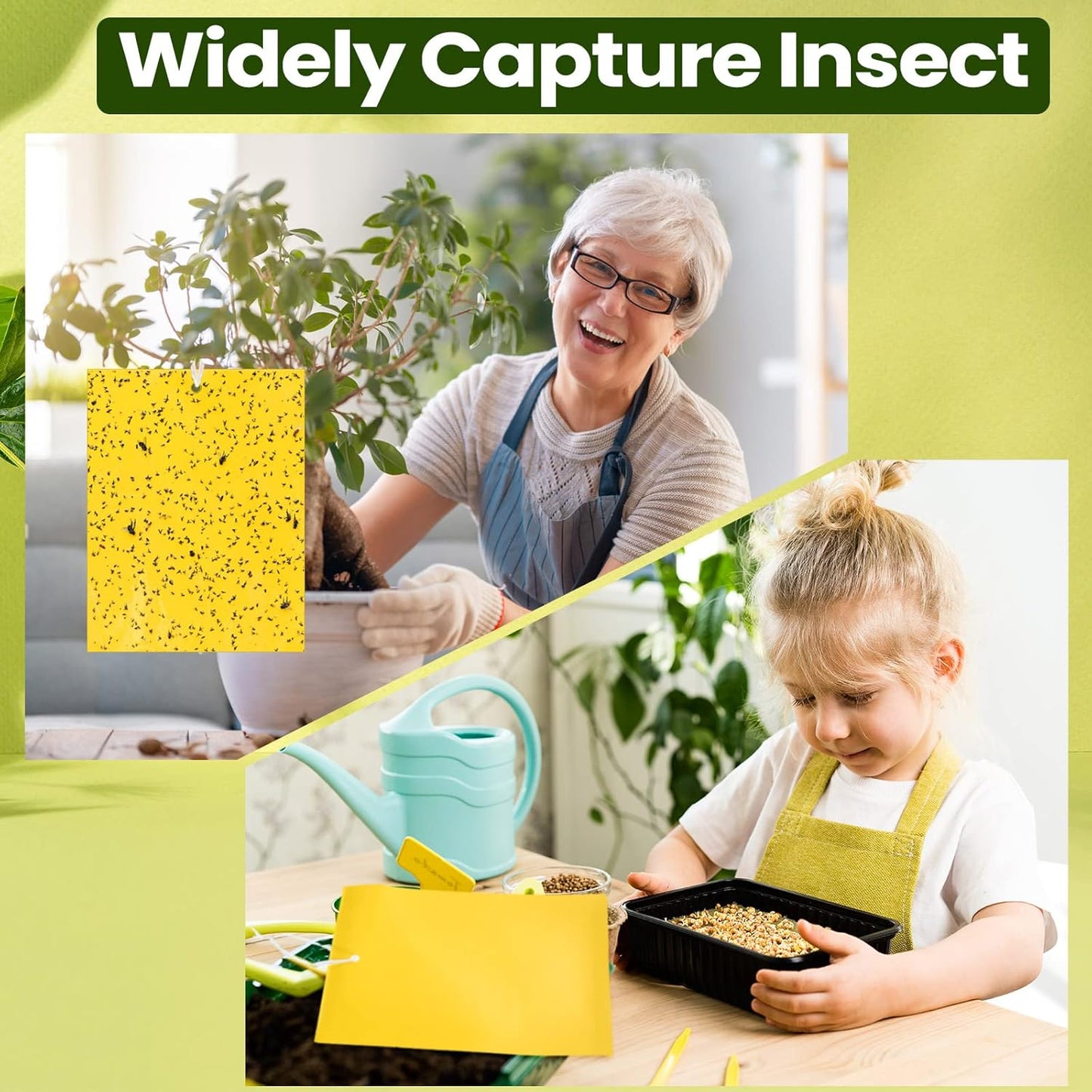 🌼 Sticky Shield Pest Traps | FLAT 50% 🔥