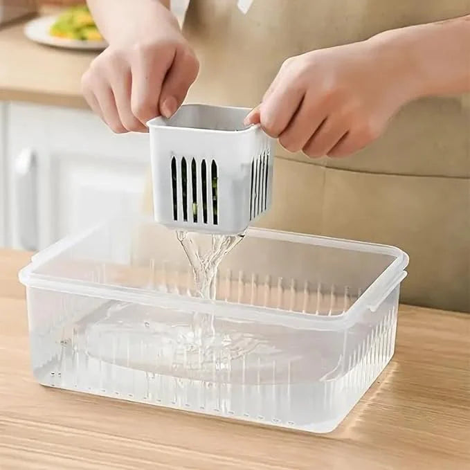 Premium Fridge Storage Box|🍱🎁