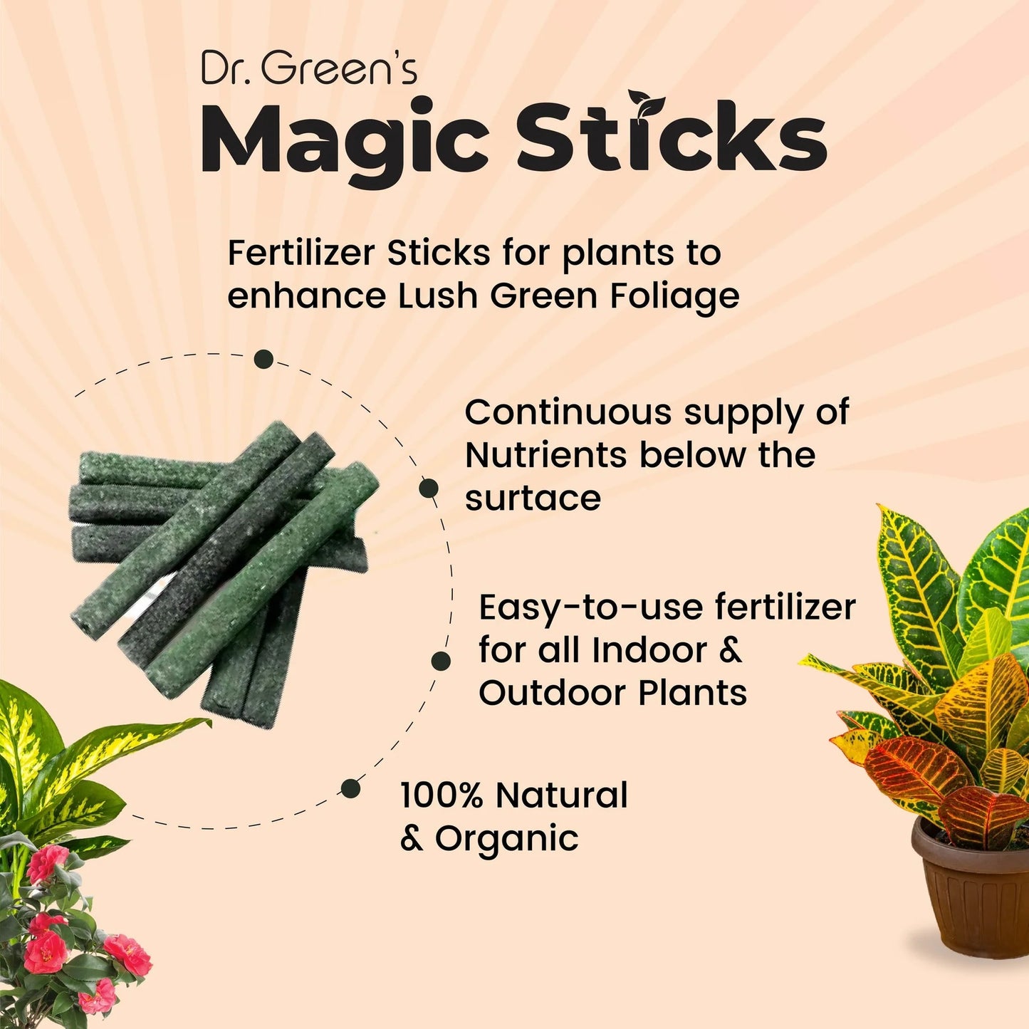 Dr.Green's - Magic Plant Sticks🌾🍁
